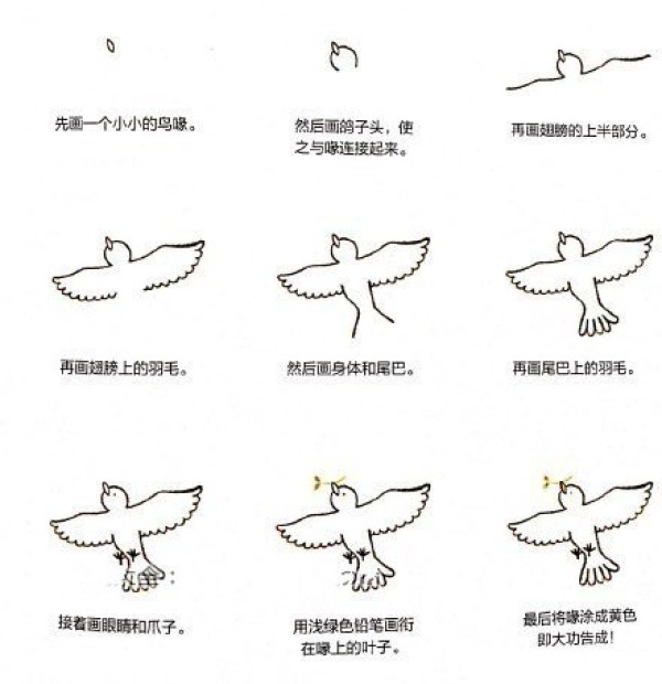 A set of simple drawing steps for drawing animals