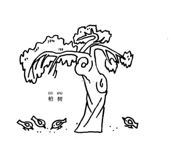 Simple drawing of cypress tree