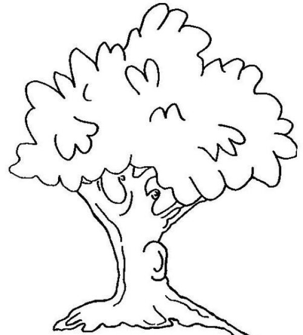 Childrens simple drawings A complete collection of simple drawings of beautiful big trees