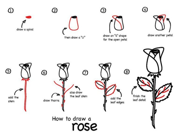 How to draw a rose Rose simple drawing tutorial