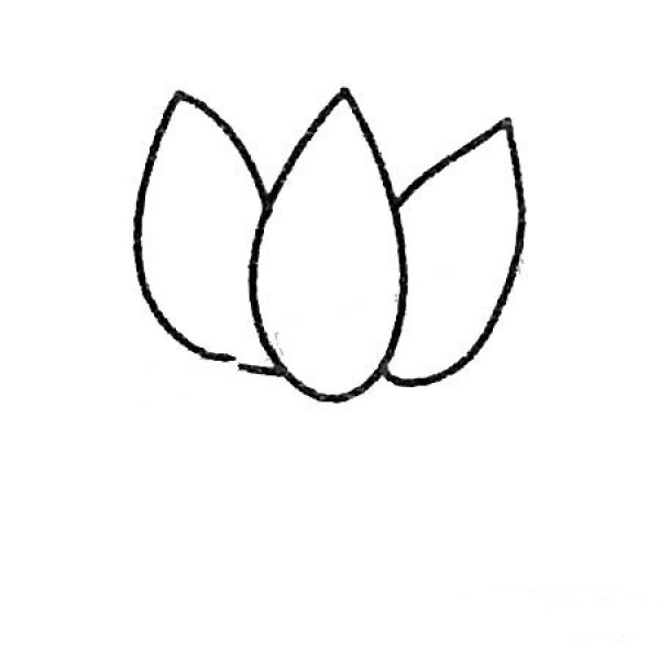 A complete collection of simple drawings of lotus and the steps of drawing