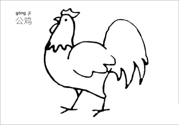 Rooster simple drawing