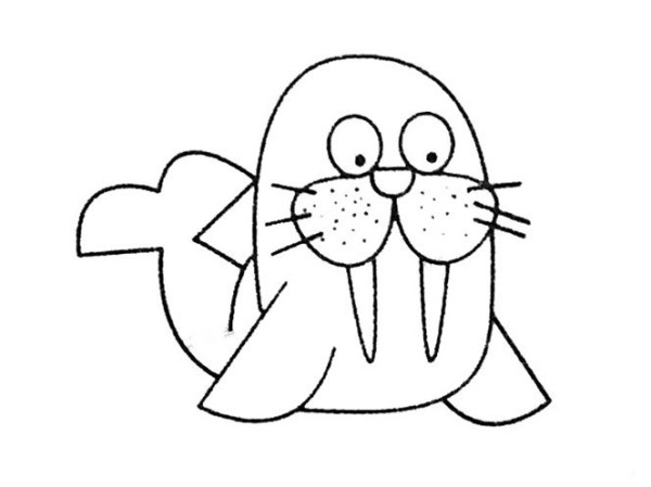 Step by step drawing of walrus in simple strokes