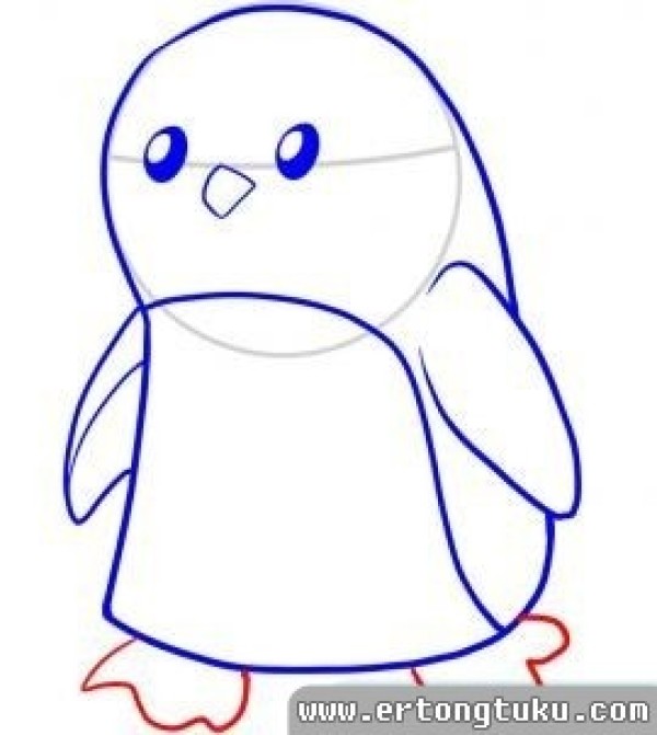 Little penguin simple drawing steps