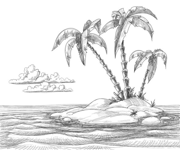 Simple coconut tree drawing pictures for primary school students