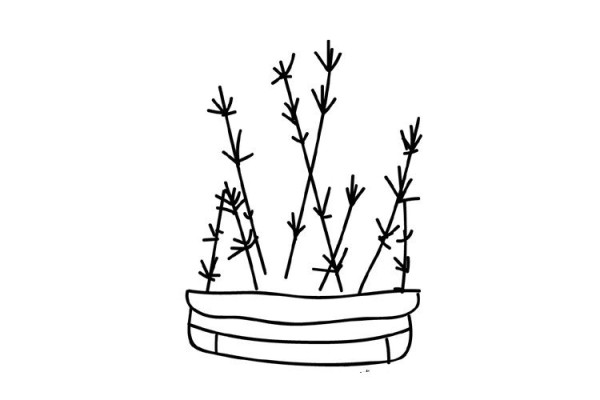 A set of plant simple strokes hand drawn