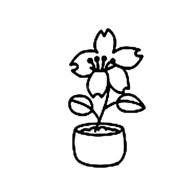 A set of simple sketches of potted flowers