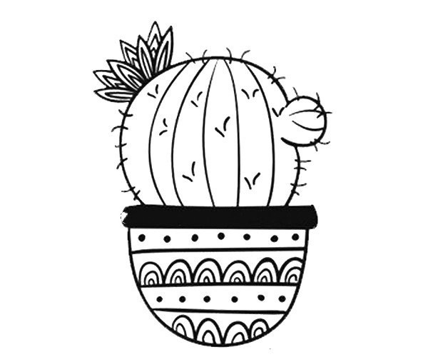 A set of beautiful simple drawing pictures of cactus