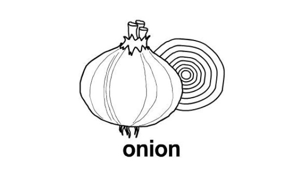 Simple drawing of onions and vegetables