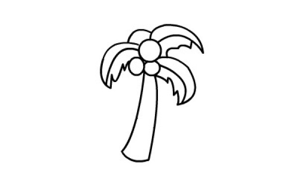 How to draw coconut trees with simple strokes for children