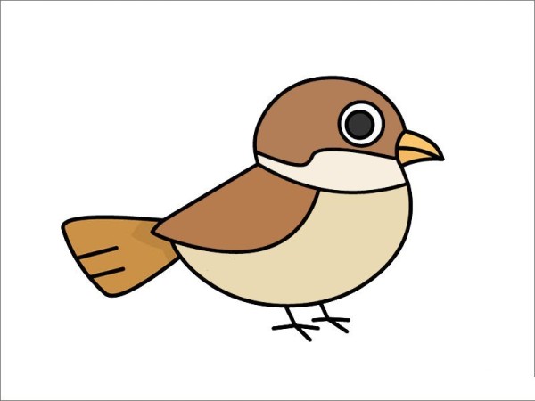 How to draw a sparrow