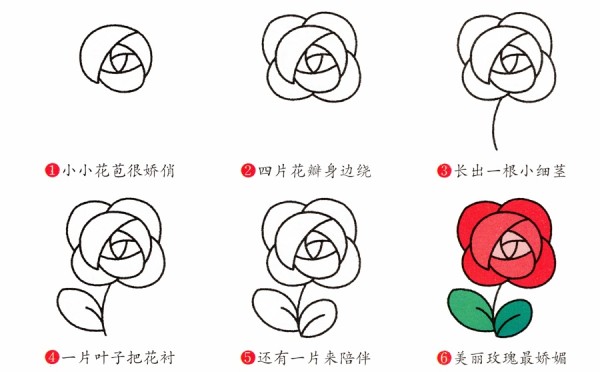 How to draw a rose with simple steps