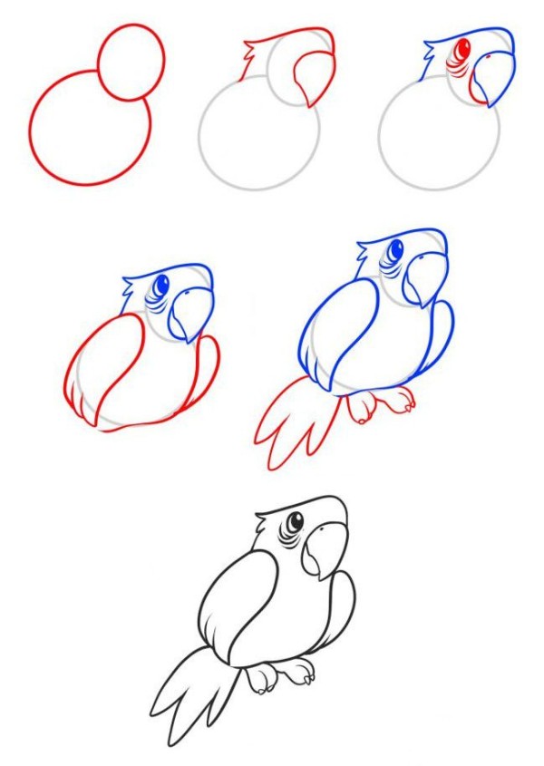 Simple drawing tutorial How to draw a parrot in simple strokes