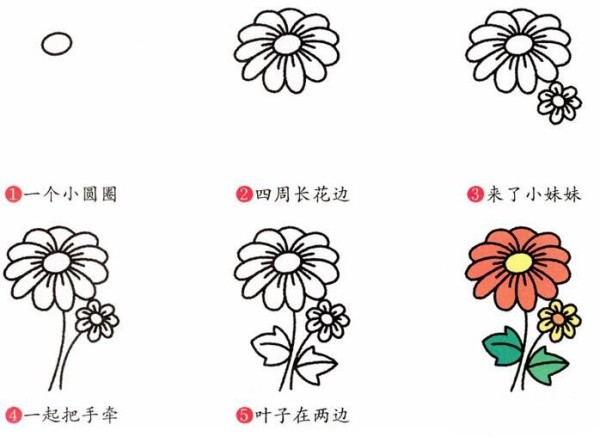 How to draw chrysanthemums