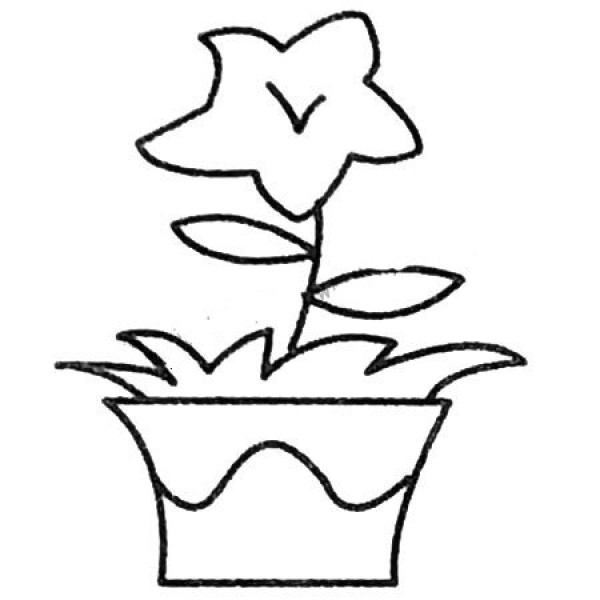 A complete collection of beautiful flower bonsai simple strokes