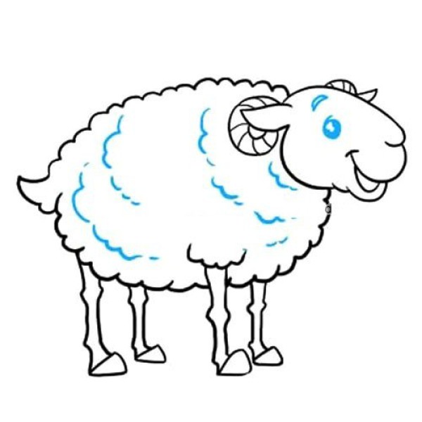 Learn to draw a sheep step by step