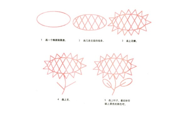 Hand drawn sunflower simple drawing step by step diagram