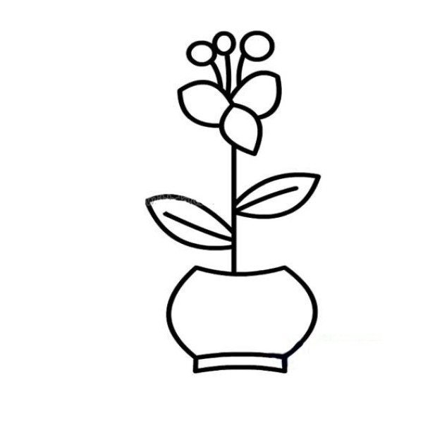 A set of simple sketches of potted flowers