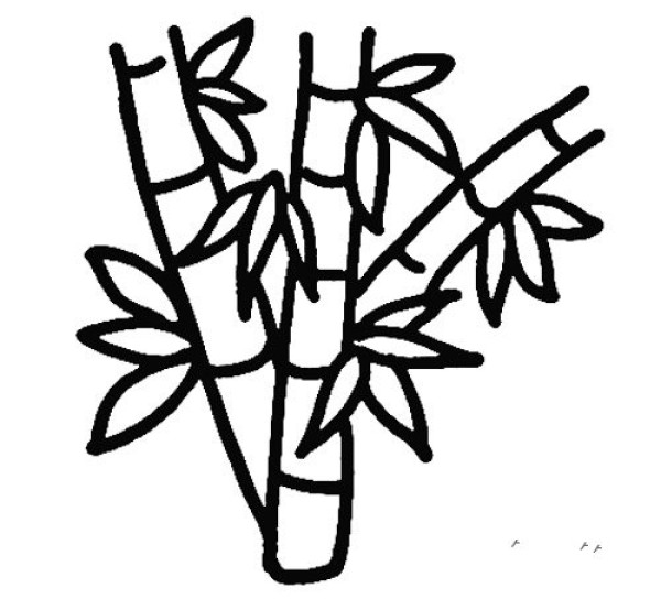 How to draw bamboo tree in simple strokes