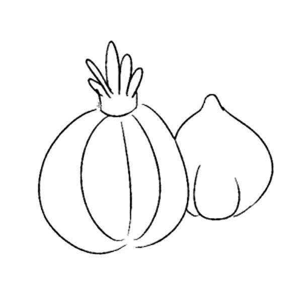 Simple drawing of onion