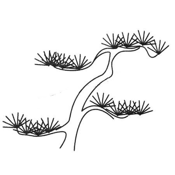 Various ways of drawing pine trees