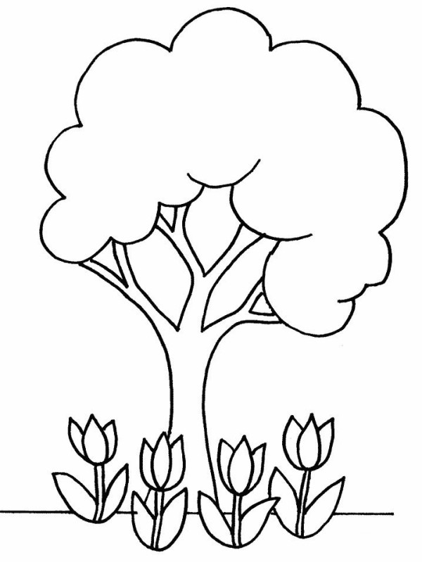 Simple drawing of big tree and tulips