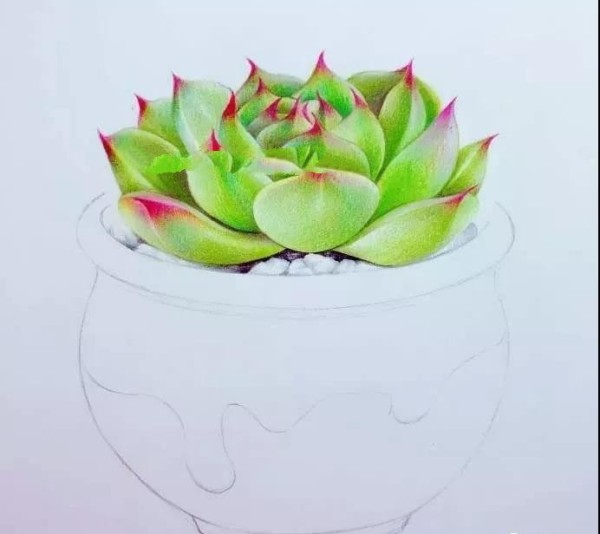 Colored lead painting~Teach you how to draw a combination of succulent flowers and pots!