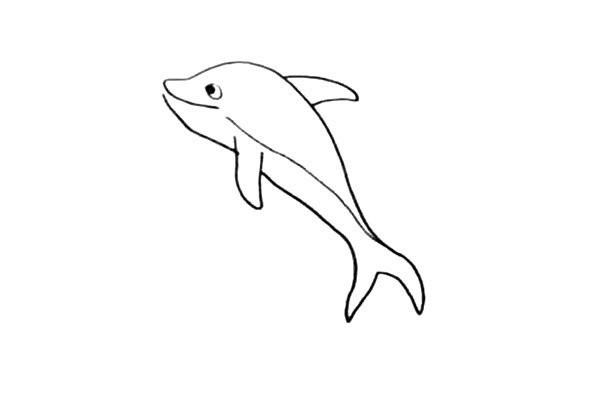 How to draw a dolphin