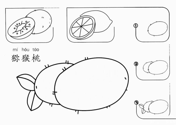 How to draw kiwi fruit