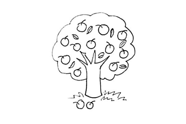 How to draw an apple tree