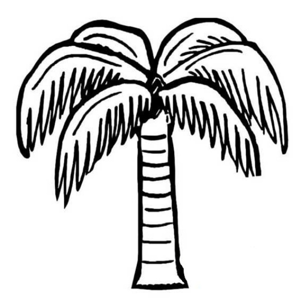 Complete picture of coconut tree simple strokes