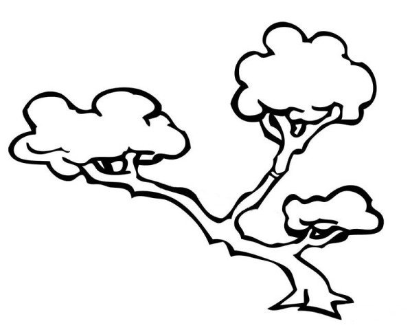 Simple drawing of small potted tree