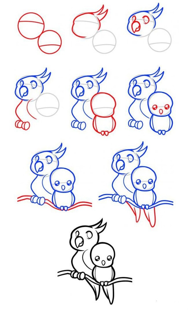 A collection of simple bird drawing tutorials. How to draw a parrot mother and child in simple strokes.