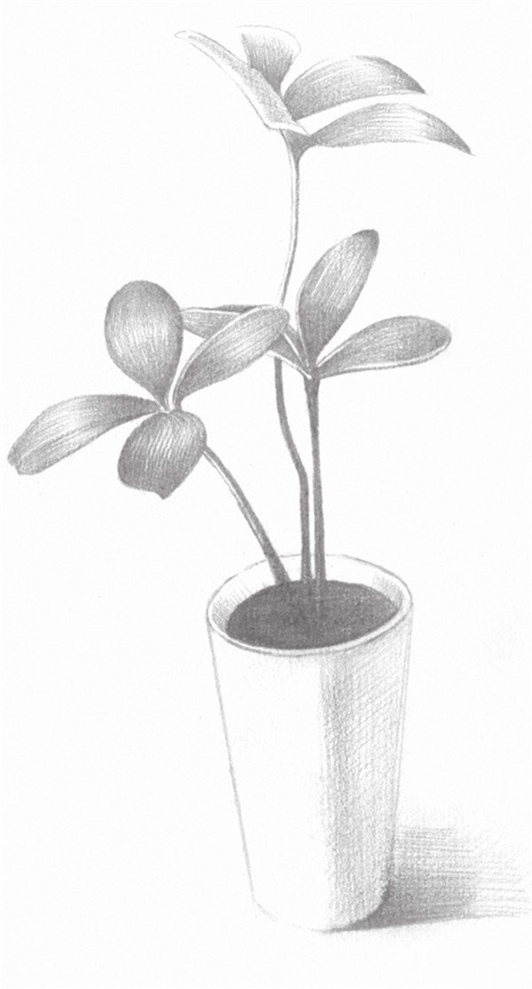 Sketch drawing techniques of four-leaf clover