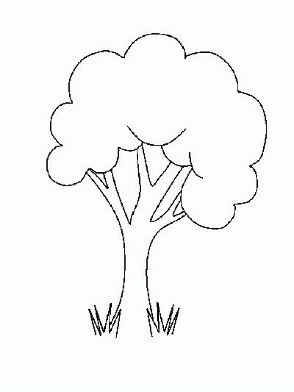 Childrens simple drawings of big trees