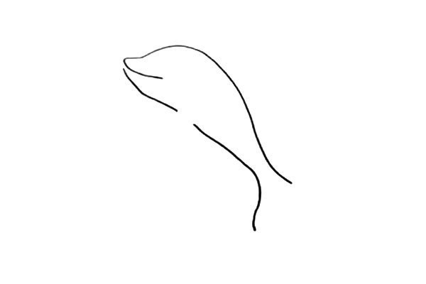 How to draw a dolphin