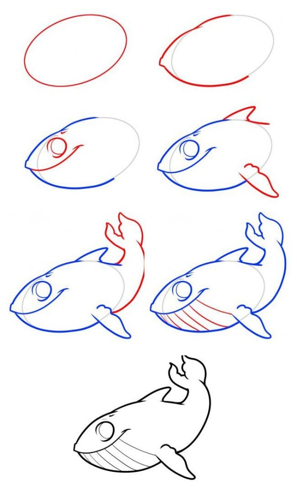 Simple drawing tutorial Step by step drawing of a whale