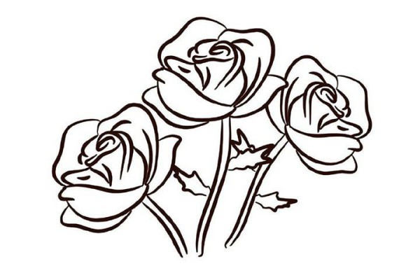 Draw roses for Valentines Day