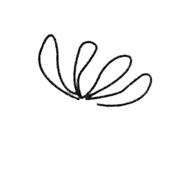 Complete collection of chrysanthemum simple strokes and drawing steps