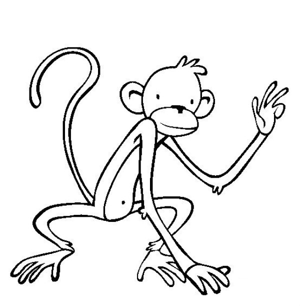 Simple drawings of animals, simple drawings of little monkeys