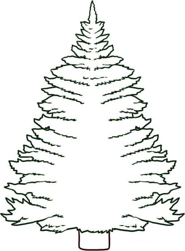 Simple picture of pine tree