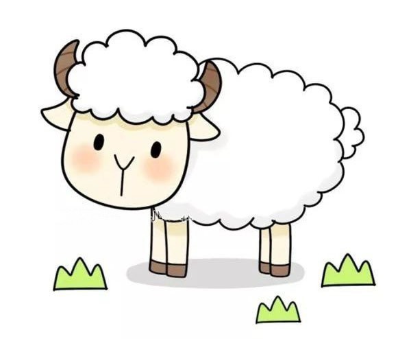 Step-by-step illustrated tutorial on how to draw a cute sheep