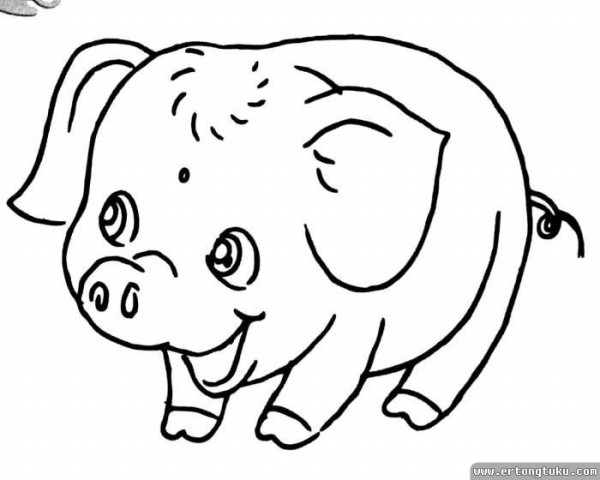 Happy pig cute simple drawing picture