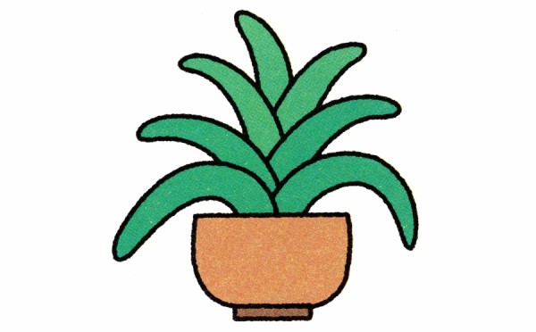 Simple drawing method of green plant Clivia