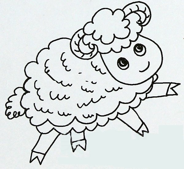 Cute little sheep simple drawing picture