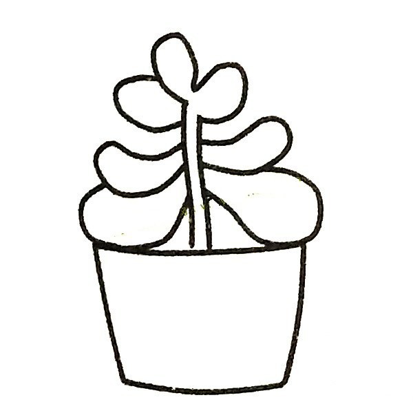 A set of simple drawing pictures of succulent plants