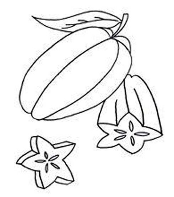 Childrens simple drawing picture of cut star fruit