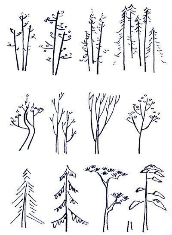 Simple drawing methods of several large trees