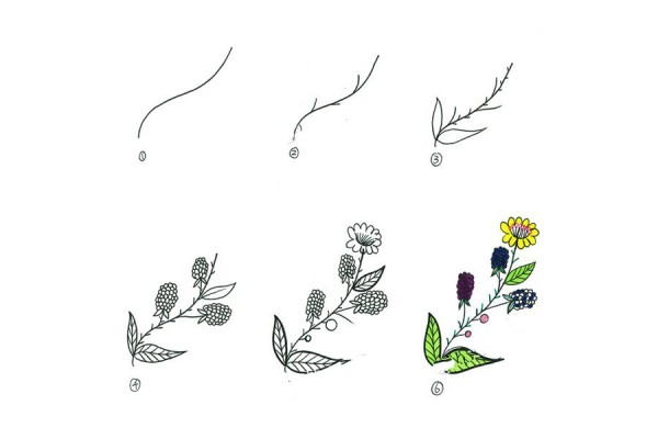 A set of simple drawing methods of beautiful small plants