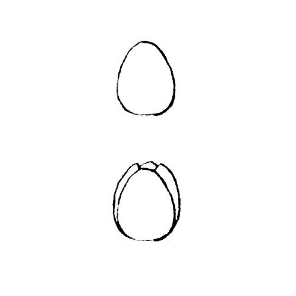 Tulip simple strokes drawing tutorial